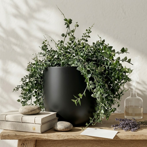 Rustic Iron <b>Plant</b> <b>Stand</b> Powder Coated Finish | American Farmhouse Style Hanging Floor Pots | Durable Eco Friendly Garden Home - Product Image 3