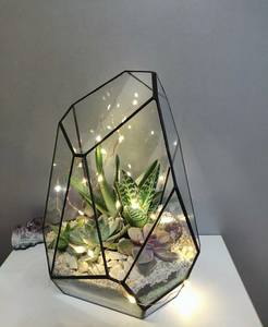 Terrarium décoratif personnalisé en métal et verre, jardinière moderne en verre pour plantes d'intérieur, succulentes, plantes aériennes et terrarium DIY - Product Image 3