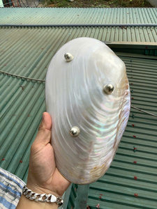 จานเปลือกหอยมุกขัดเงาขนาดใหญ่ 22-25 ซม. ถาดเปลือกหอยธรรมชาติ จานใส่ไข่ปลาคาเวียร์ งานฝีมือทำมือ ของขวัญสุดหรู ขายส่ง - Product Image 6