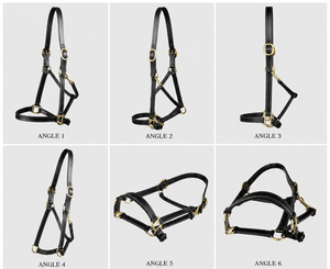Harnais pour cheval en cuir de qualité supérieure OEM avec boucles en laiton, fabricant en gros de Divine International - Product Image 4