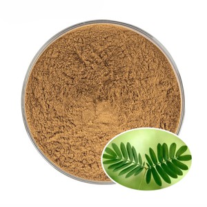 Extracto de Raíz de Mimosa 100% Puro y Natural, Polvo de Mimosa Molido Fino de Calidad Premium para Uso Cosmético, Venta al Por Mayor - Product Image 4