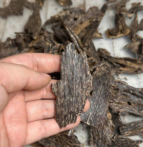 Proveedor de Oud AZ, Chips de Oud AA+ de Primera Calidad, Agarwood Apari, Precio Directo de Fábrica para Uso en Incienso y Perfumes - Product Image 5