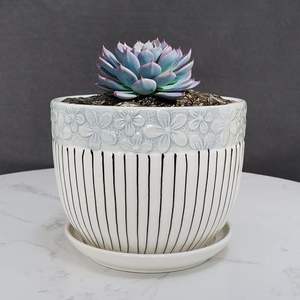 Pot de fleurs en céramique élégant pour la maison, le bureau et la table. Pot de fleurs décoratif en céramique pour balcon, jardin et plantes d'intérieur. - Product Image 1