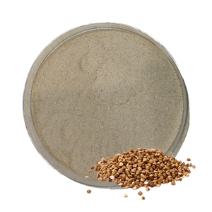 Polvo de Trigo Sarraceno de Primera Calidad, Garantía del Mejor Proveedor, Halal, OEM, B2B, Gran Venta, Sin Gluten, Alimento Saludable, Sabor a Grano Tostado - Product Image 1