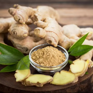 Gingembre frais biologique de qualité supérieure, prix de gros, qualité exceptionnelle, gingembre frais en vrac, légumes frais - Product Image 1