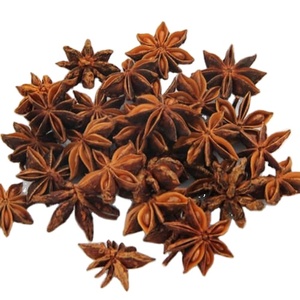 Anis étoilé 100% naturel séché au soleil Anis étoilé Vietnam quantité en vrac disponible pour l'exportation - Product Image 1