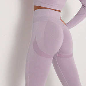 Conjunto Deportivo de Dos Piezas para Mujer, de Alta Calidad, Transpirable y Sexy, para Gimnasio, Fitness y Yoga, con MOQ Bajo - Product Image 6