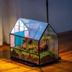 Terrario de Metal y Vidrio Personalizado en Oro Rosa, Moderno Macetero de Vidrio para Plantas de Interior, Suculentas, Plantas Aéreas y Terrarios DIY - Product Image 4