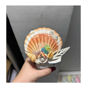 100% Natural Scallop Shell Table <b>Lamp</b> Handmade Seashell Night Light Coastal Style <b>Bedside</b> <b>Lamp</b> Home Interior Decoration Gift - Product Image 1