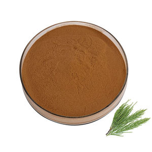 Proveedor Mayorista de Polvo de Cola de Caballo 100% Natural y Puro de Grado Cosmético, Polvo de Equisetum arvense para la Salud de la Piel y el Cabello - Product Image 4