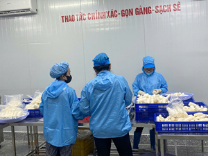 PRECIO ECONÓMICO - Yuca congelada de Vietnam para supermercados y tiendas de comestibles en línea, con larga duración de conservación y frescura - Product Image 6