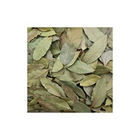 Feuilles de Laurier Cinnamomum Tamala Tej Patta Tejpatta Tejpat Malabar Séchées, Herbes Brutes Séchées, Extrait Végétal, Produit Herbal en Gros