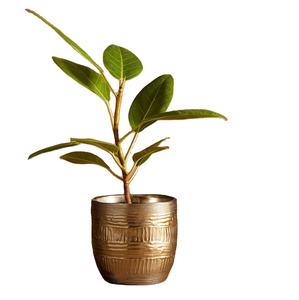 แจกันโลหะเคลือบทองสไตล์นักออกแบบสำหรับตกแต่งบ้านระดับพรีเมียมและการตกแต่งภายในที่ทันสมัยสำหรับตกแต่งบ้านโรงแรมและสำนักงาน - Product Image 1