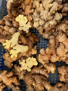 ขิงสดคุณภาพพรีเมี่ยมจากเวียดนามราคาขายส่งสำหรับการส่งออกทั่วโลก - Product Image 2