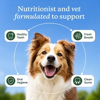 Poudre dentaire en gros pour chiens et chats, à base d'algues, pour l'hygiène buccale, contrôle du tartre, supplément en poudre, OEM ODM, approvisionnement en vrac