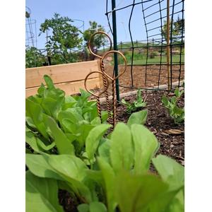 Estaca de cobre puro retorcida a mano para jardín, electrocultivo, salud de las plantas y soporte para plantas, alambre de cobre disponible en grandes cantidades - Product Image 4