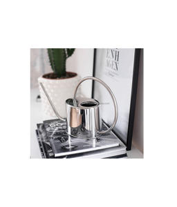Bidon d'eau en acier inoxydable de haute qualité avec poignée ergonomique et grande capacité pour l'arrosage intérieur ou extérieur du jardin domestique - Product Image 3