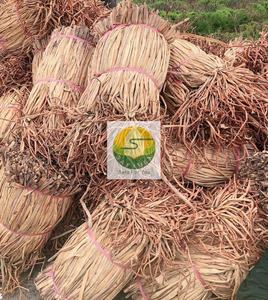 Vietnam Factory Cheap Price Water Hyacinth Fiber Rope 60cm Bale Raw Material for Handicraft Making No Black Spot High Quality - Product Image 5