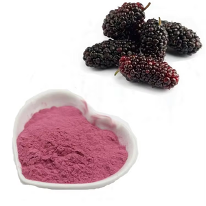 Poudre de mûre de qualité supérieure OEM ODM, 100 % pure et naturelle, poudre de mûre séchée brute pour la pâtisserie, les smoothies et les jus, provenant d'Inde - Product Image 6