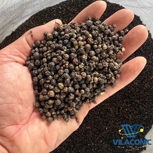 พริกไทยดำแห้งเกรดพรีเมียมจากเวียดนาม ขนาด 5 มม. 580GL 570GL 550GL เมล็ดแตก บรรจุถุง 50 กก. |   แบรนด์วิลาโคนิค - Product Image 1