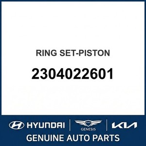 Nouveaux pistons et segments Accent 2304022601 - Product Image 1