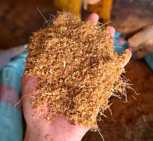 Chips de Cáscara de Coco Ecológicos al por Mayor, Bloque Natural Comprimido, 100% Coco Natural, Calidad de Exportación, Orgánico - Product Image 6