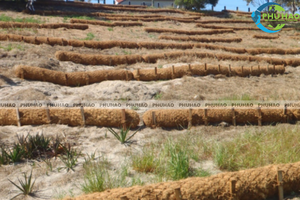 Meilleure vente : Blocs de coco pour la protection des rives des rivières et des lacs, restauration de la végétation naturelle, bio-ingénierie organique robuste, approvisionnement en wattle - Product Image 2