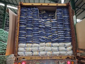 ข้าวเหนียวเมล็ดยาวหอมพันธุ์ ST25 พรีเมียมจากเวียดนาม พร้อมจำหน่ายสำหรับการส่งออกจำนวนมาก ติดต่อคุณเคย์ลาได้ที่ +84 85 693 9777 - Product Image 5