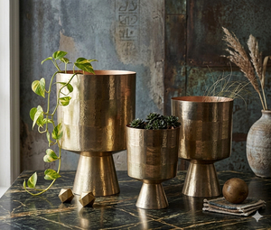 Macetero de Interior Multiusos Resistente con Recubrimiento de Polvo de Hierro y Drenaje - Product Image 4