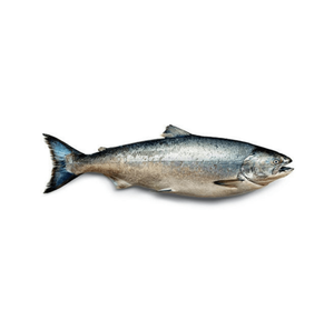 Saumon d'Atlantique frais congelé de haute qualité à 100 %, saumon entier éviscéré, promotion sur les poissons de qualité - Product Image 5