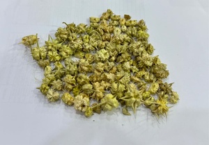 ชาสมุนไพรแห้งคุณภาพสูงจากต้นปุนเจอร์วีน (Tribulus Terrestris) แบบหั่นเป็นชิ้น บรรจุ 25 กก. จากปากีสถาน - ยี่ห้อดูร์เวช - Product Image 5