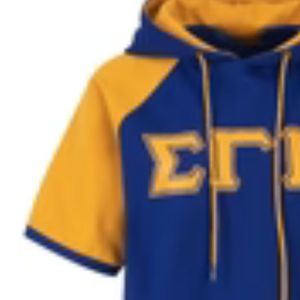 Sweat à capuche à manches courtes en molleton technique Sigma Gamma Rho SGRho Bleu Or, Vêtement grec de qualité supérieure pour sororité - Product Image 6