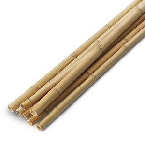 Vietnamese producer bamboo <b>cane</b> stick high quality wholesale natural pole for landscaping & crafts - Product Image 4
