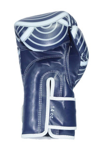 ถุงมือชกมวยหนังแท้ Fairtex ขนาด 14 ออนซ์ คุณภาพสูง ลายพิมพ์ใหม่ สำหรับฝึกซ้อมมืออาชีพ ซ้อมสปาร์ริง ซานด้า พร้อมที่จับมือ - Product Image 5
