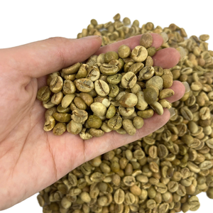 เมล็ดกาแฟโรบัสต้าสีเขียวคุณภาพส่งออกจากเวียดนาม ระดับความชื้นคงที่ ออกแบบมาเพื่อผู้นำเข้าและผู้ผลิตกาแฟทั่วโลก - Product Image 1