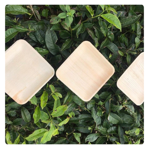 STOCK LIMITÉ! Bols en feuille de palmier Areca fabriqués à la main-Écologique et parfait pour les événements en plein air! - Product Image 2