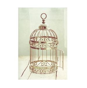 Jaula grande de metal para pájaros con soporte, construcción de hierro resistente, adecuada para loros, cacatúas, pinzones y pájaros pequeños. - Product Image 6