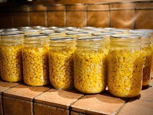 ORGANIC YELLOW CANNED CORN WHOLE KERNEL IN VEGETABLE <b>TIN</b> - Product Image 1