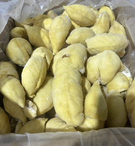 Durian Congelado IQF de Vietnam, Hecho con Pulpa de Durian Seleccionada para Aplicaciones de Panadería, Producción de Confitería y Mercados de Exportación - Product Image 1