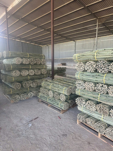 Bâtons de bambou très demandés, matériau supérieur pour clôtures et production artisanale, durables, lisses, faciles à travailler - Product Image 5