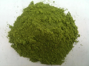 Polvo de Moringa Oleifera Premium de Alta Calidad, al por Mayor, Marca Privada, Mejor Precio Natural Orgánico, Polvo de Hoja de Moringa a Granel - Product Image 2
