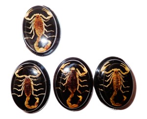 Escorpión Dorado, Espécimen Real, Cabujón de Plástico Ovalado de 31x41 mm, Base Plana Negra para Manualidades y Joyería - Product Image 6