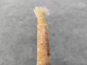 Brosse à dents Miswak Smilebright Premium, bâtonnets à base de plantes biologiques, blanchiment naturel, haleine fraîche, hygiène dentaire, écologique, anti-plaque - Product Image 6