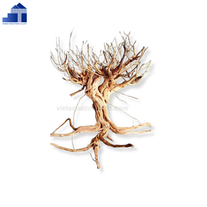 La Mejor Decoración de Madera Flotante Natural para Acuarios de Vietnam, Adorno de Madera Ecológico para Peceras, Estilo Moderno, Hecho en Vietnam - Product Image 2