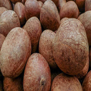 มะพร้าวแห้งอินเดีย ฤดูกาลใหม่ คอปราคุณภาพพรีเมียม มะพร้าวแห้งธรรมชาติ สำหรับการค้าขายส่งอาหารเชิงพาณิชย์ มะพร้าวสีขาวแบบหั่น กระบวนการอบแห้งแบบ FD - Product Image 6
