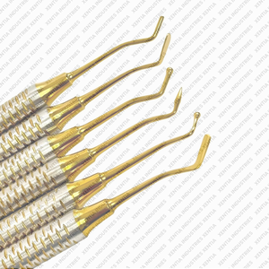 Kit Profesional de Instrumentos de Restauración Dental con Recubrimiento de Titanio Dorado, Juego de Instrumentos de Composite, Proveedor OEM Premium, CE - Product Image 6