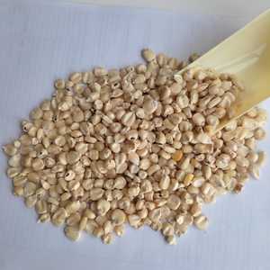 Bán Ngô Trắng H 2 Chất Lượng Hàng Đầu Ngô Lai Xuất Xứ Ấn Độ Với Giá Thấp Với Đóng Gói Xuất Khẩu Tốt Từ Ấn Độ - Product Image 6