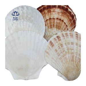 Lampe à sel en coquille de coquille Saint-Jacques durable, favori des clients 2026, pour la décoration d'aquariums et la conception paysagère, qualité export de Binh Thuan - Product Image 4