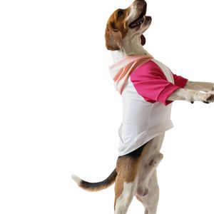 Ropa Personalizada para Perros a la Moda, Conjuntos a Juego para Mamá y Mascota, Sudaderas para Perros de Felpa Ligera 100% Algodón, Cómodas y Lavables - Product Image 3