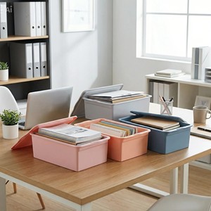 OEM Custom PP Plastic Storage Container With Lid Compact Storage Box - Product Image 4